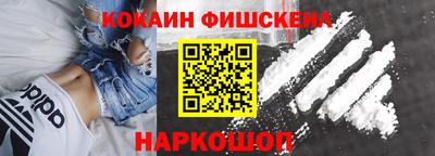 индика Можайск
