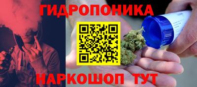 индика Можайск