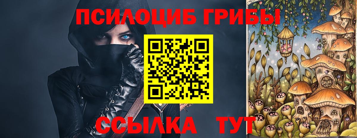 Холмск  Галлюциногенные грибы Psilocybine cubensis  Галлюциногенные грибы мицелий  Вход с VPN 